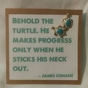 Turtle Earrings
